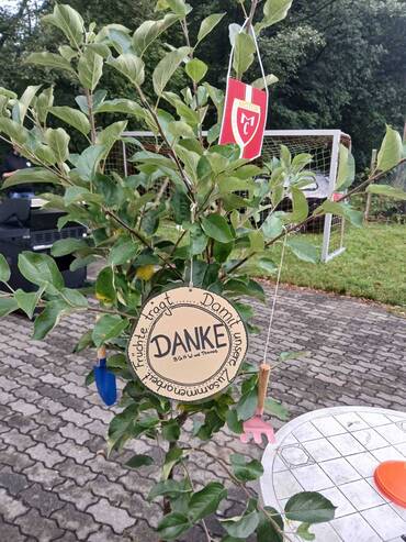 Trikotübergabe an D-Junioren durch neuen Exklusiv-Sponsor und Jahresbegleiter - Bild 3